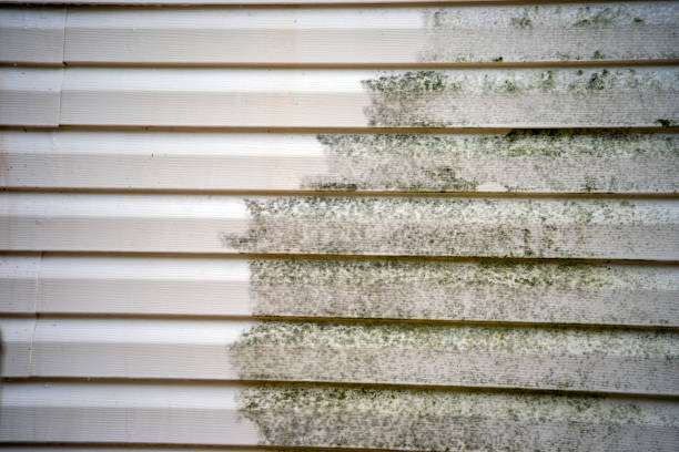 Best Shed Removal  in Kentwood, LA